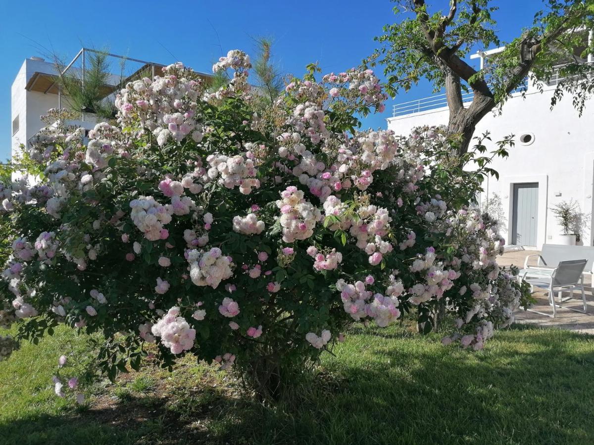 B&B Don Giovanni Monopoli Eksteriør billede