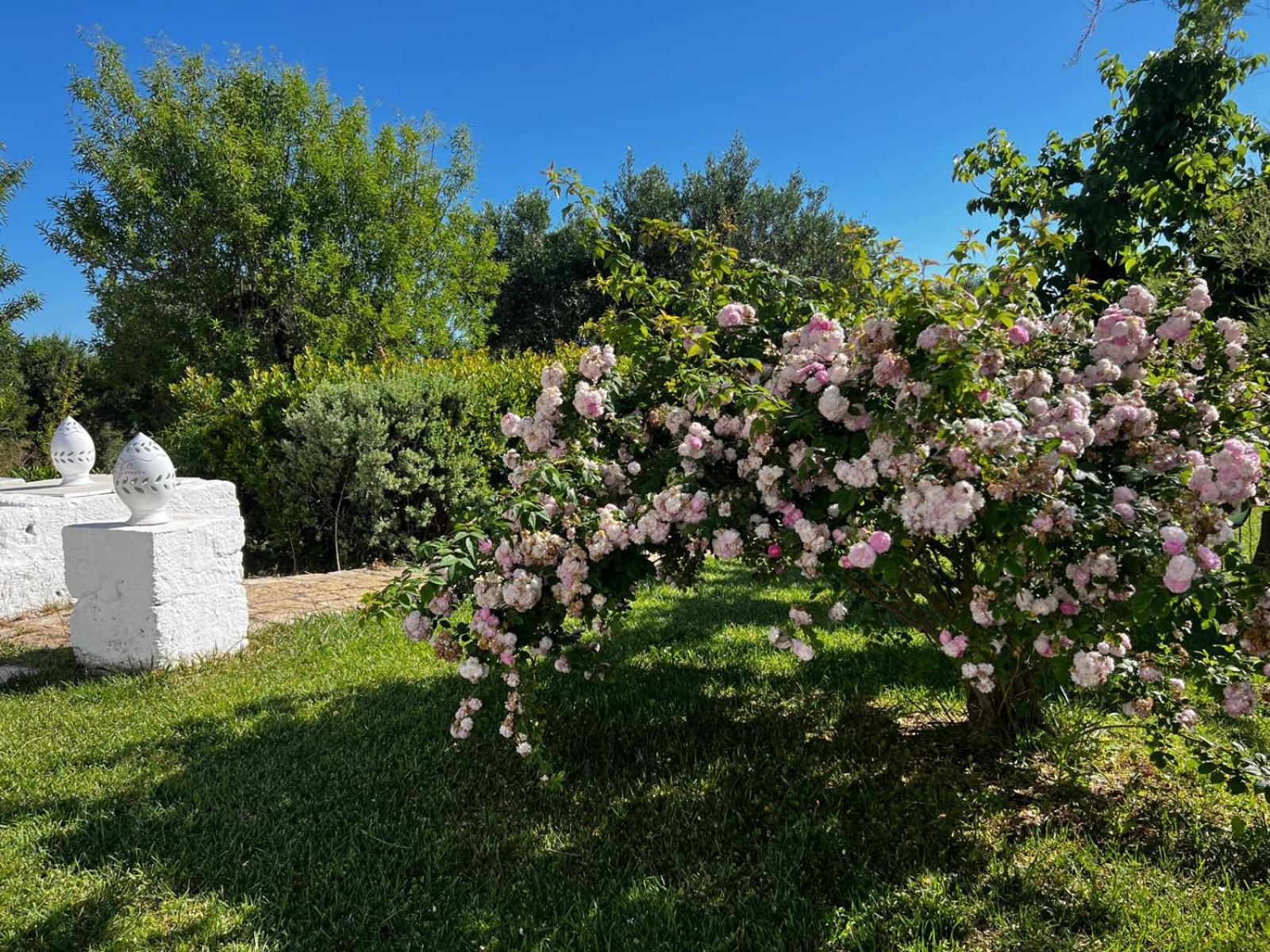 B&B Don Giovanni Monopoli Eksteriør billede