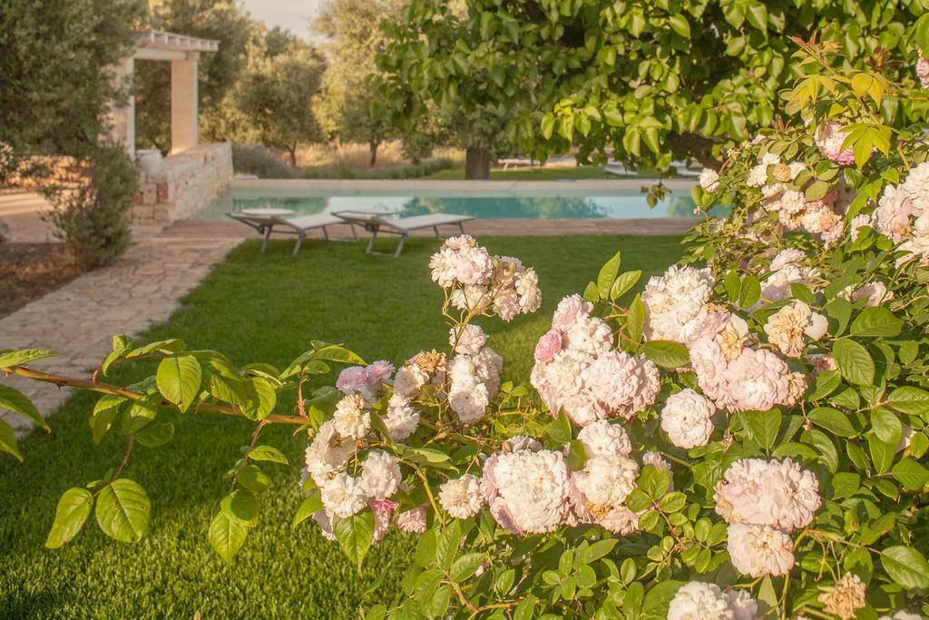 B&B Don Giovanni Monopoli Eksteriør billede